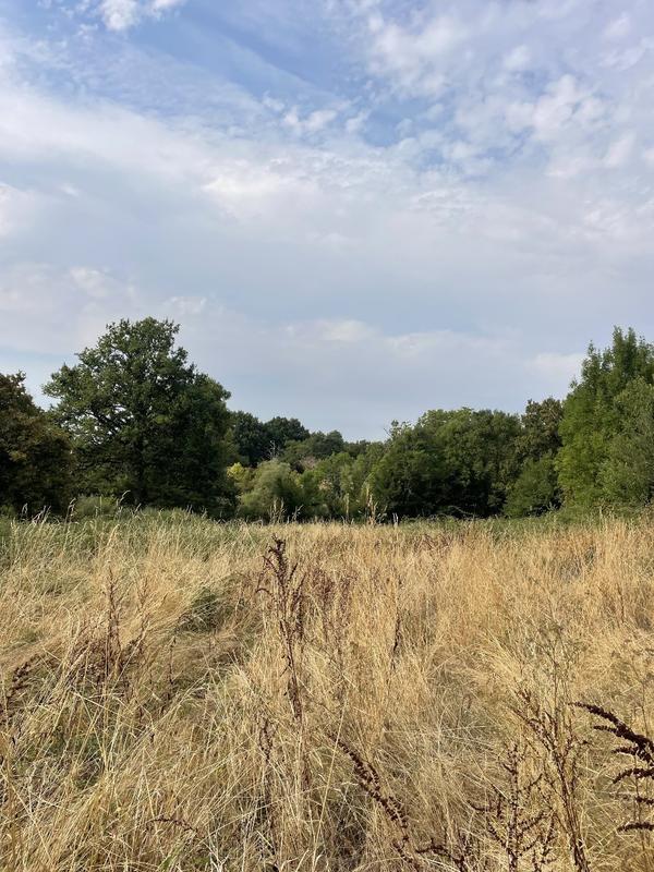 Maison - 64 m² - 2 pièces