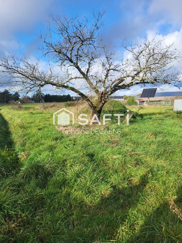 Maison - 186 m² - 8 pièces