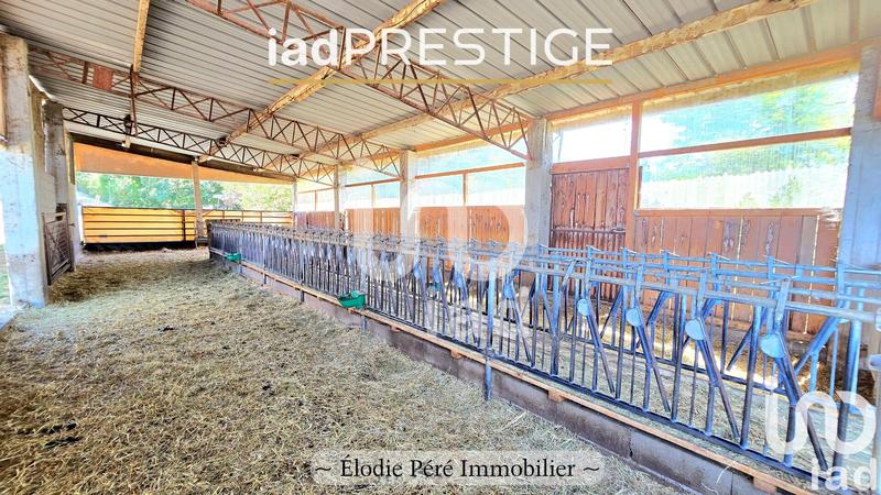 Maison - 236 m² - 6 pièces