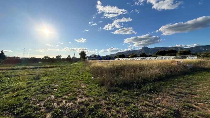 Local commercial - 159 m²