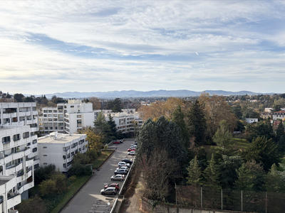 Appartement - 53 m² - 2 pièces