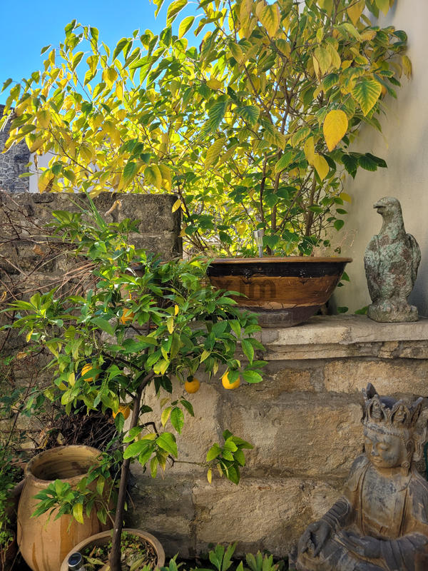 Maison - 165 m² - 8 pièces