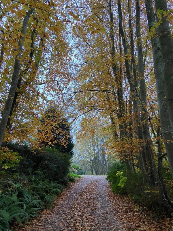 Demeure - 350 m² - 10 pièces