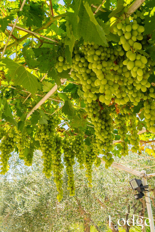 Maison - 159 m² - 6 pièces