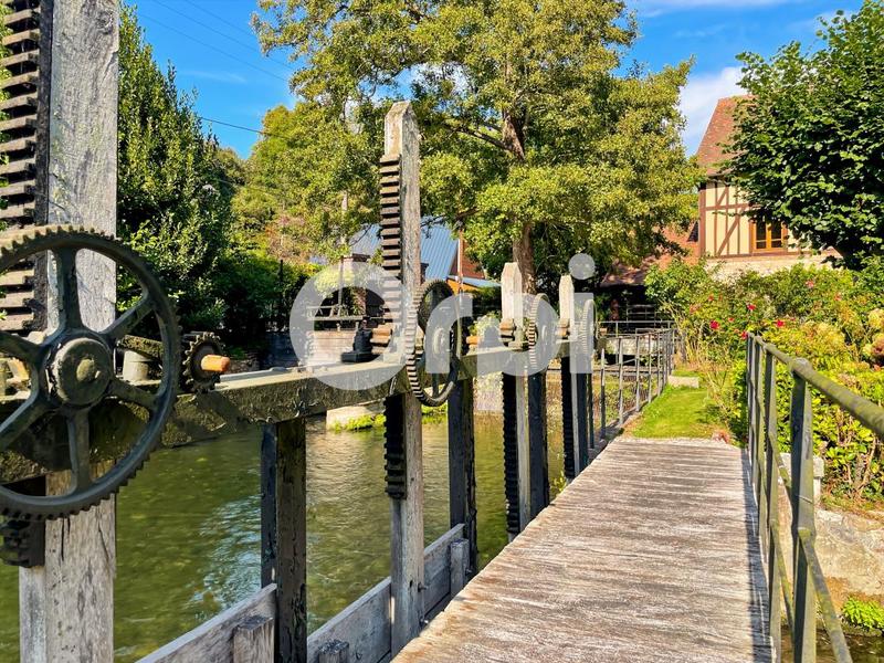 Moulin - 255 m² - 6 pièces