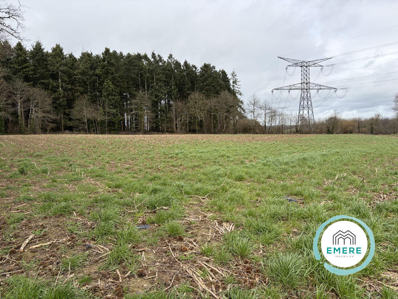 Maison - 30 m² - 3 pièces