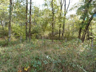 Terrain - 23 320 m²