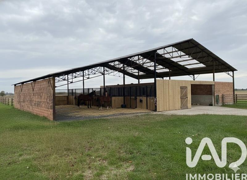 Ferme - 280 m² - 10 pièces