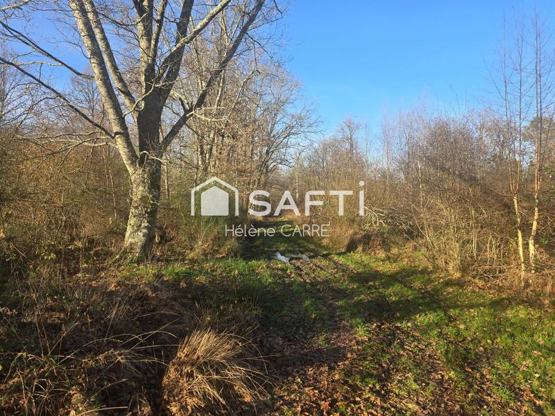 Maison - 237 m² - 11 pièces