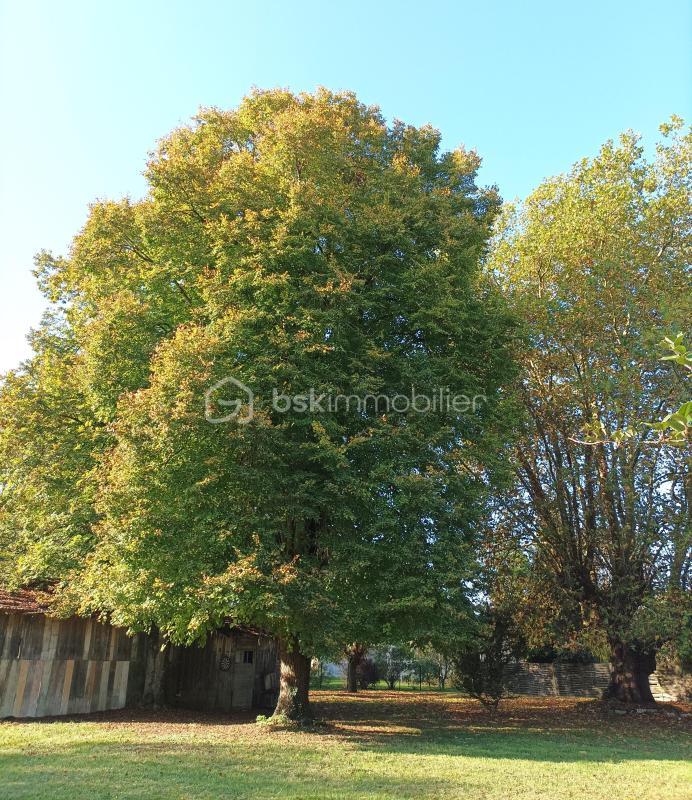 Terrain - 10 907 m²