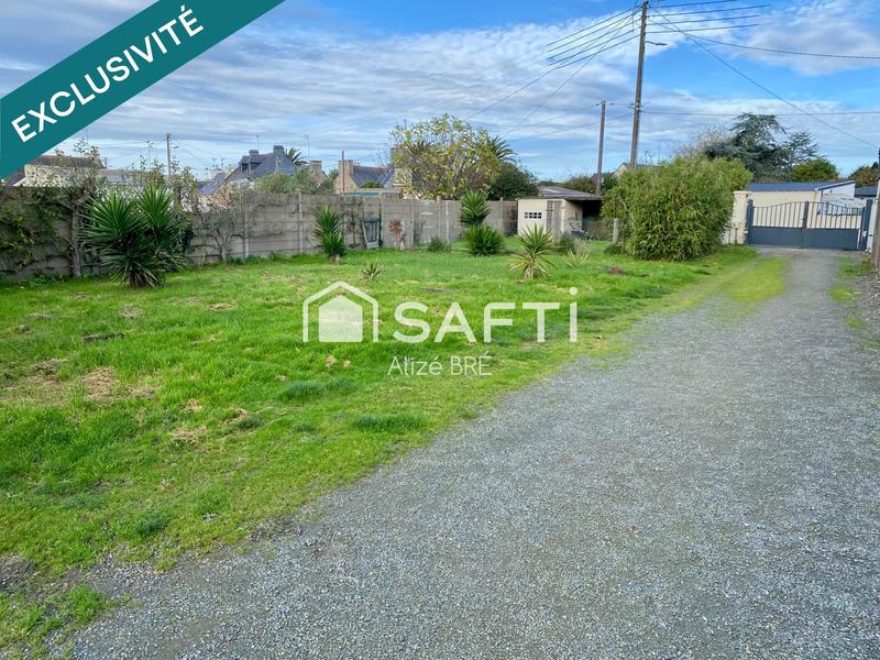 Local commercial - 331 m²