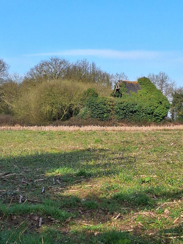 Terrain de loisirs - 775 m²