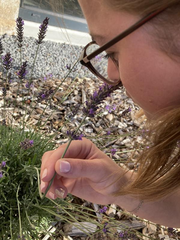 Sortie avec la maison de la nature - Forêt sensorielle