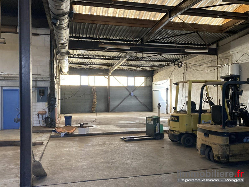 Local d'activités - 600 m²