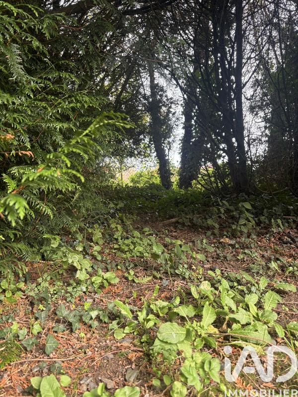 Maison - 74 m² - 4 pièces