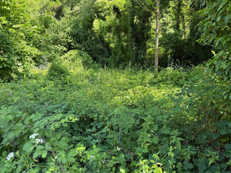 Maison - 180 m² - 6 pièces