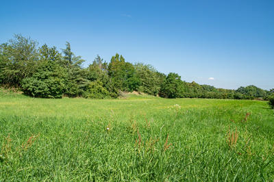 Terrain - 10 287 m²