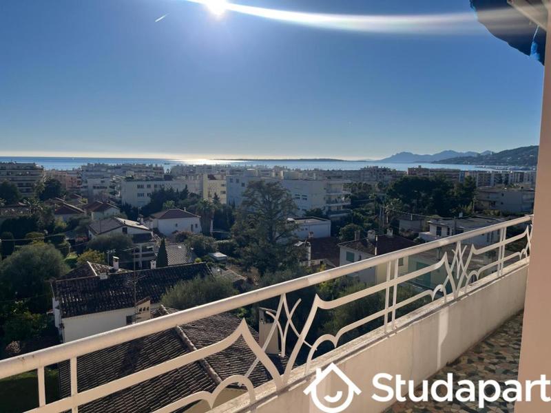 Appartement - 31 m² - 1 pièce