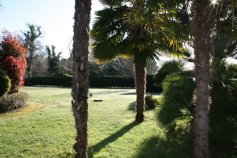 Propriété - 140 m² - 5 pièces