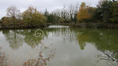 Terrain de loisirs - 16 985 m²