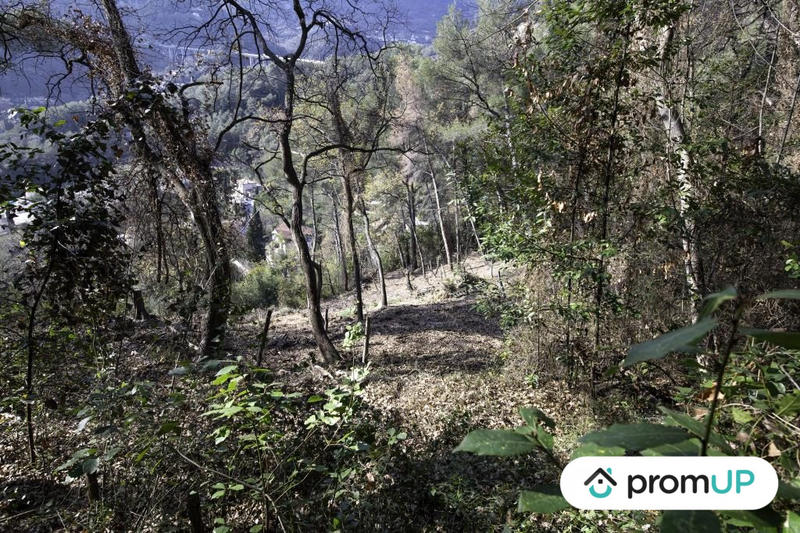 Terrain de loisirs - 2 048 m²