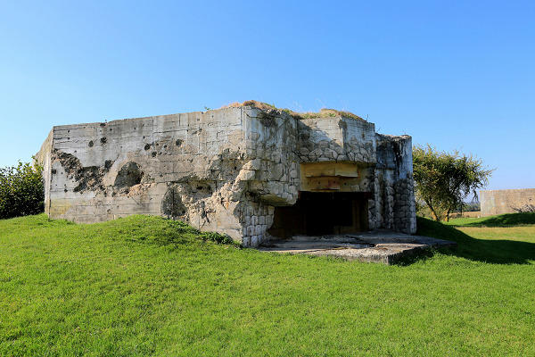 Visite guidée > Famille