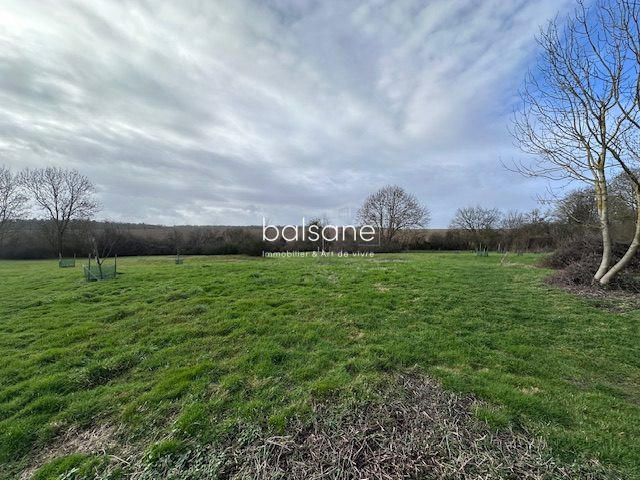 Terrain - 11 800 m²