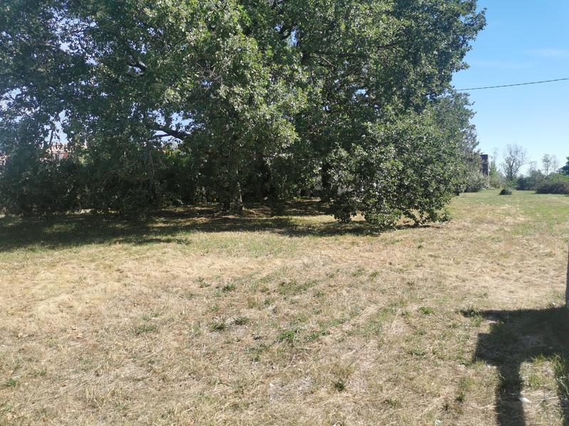 Terrain constructible - 1 300 m²