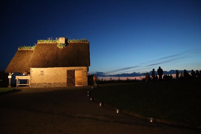 Animation jeune public "Les animaux de la nuit prennent la lumière !"
