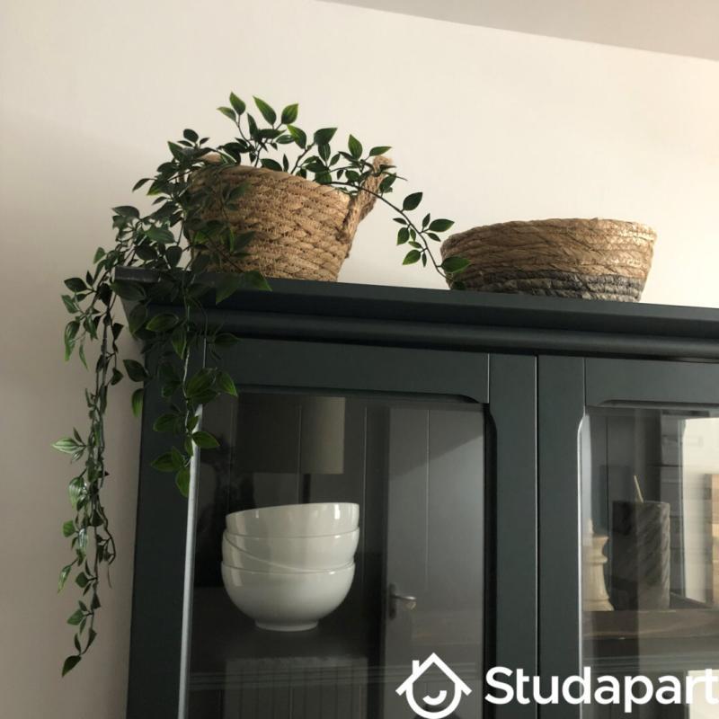 Chambre - 9 m² - 1 pièce