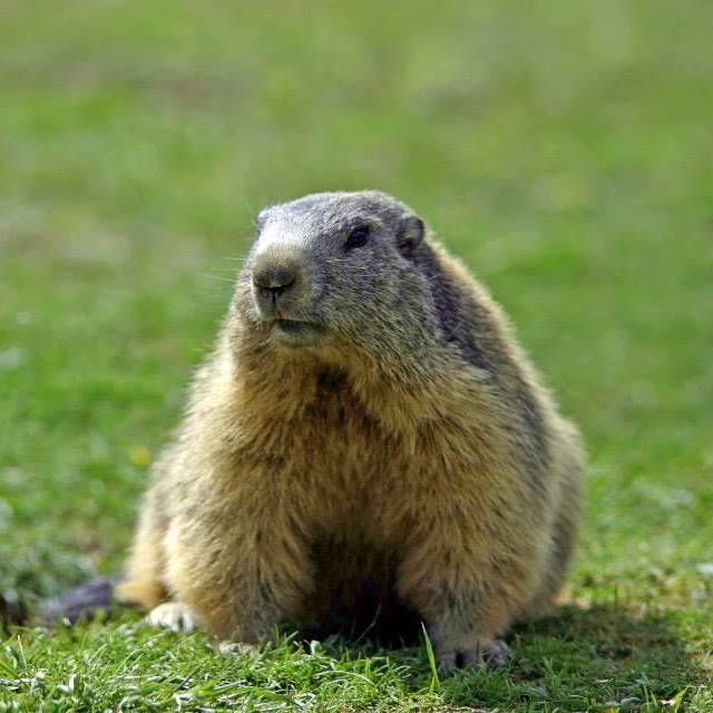 Appartement - 24 m² - 1 pièce