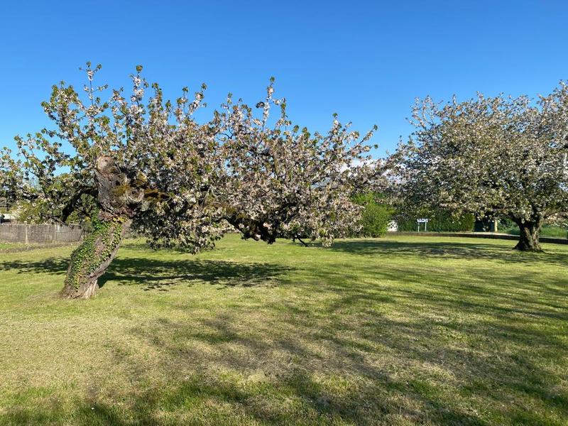 Maison de maîtres - 221 m² - 8 pièces