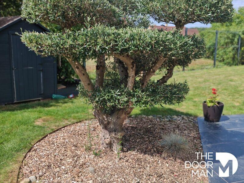 Maison - 170 m² - 7 pièces