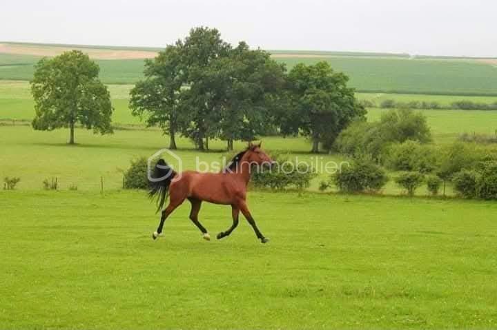 Maison de domaine équestre - 2 112 m² - 1 pièce