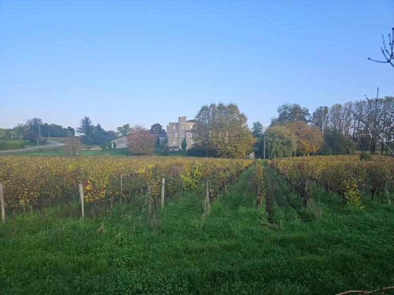 Maison en pierre - 175 m² - 7 pièces