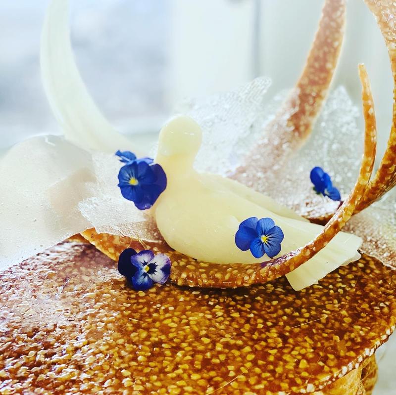 L'écureuil gourmand