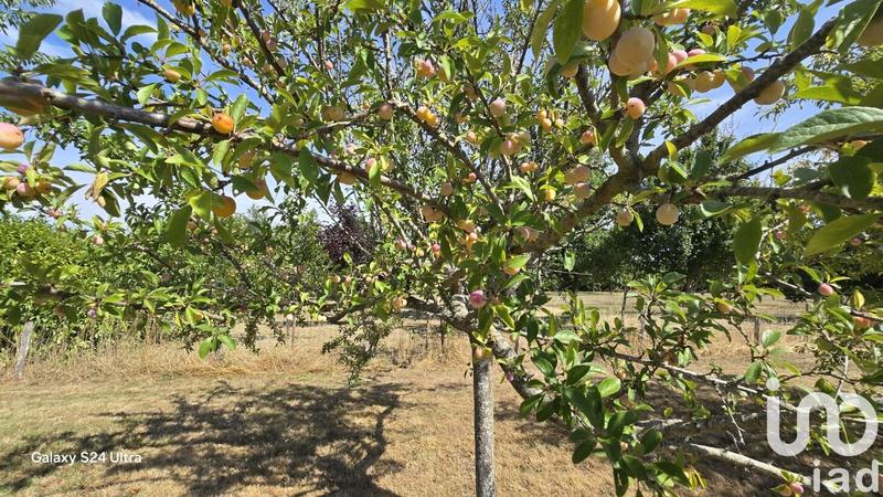 Maison - 295 m² - 10 pièces