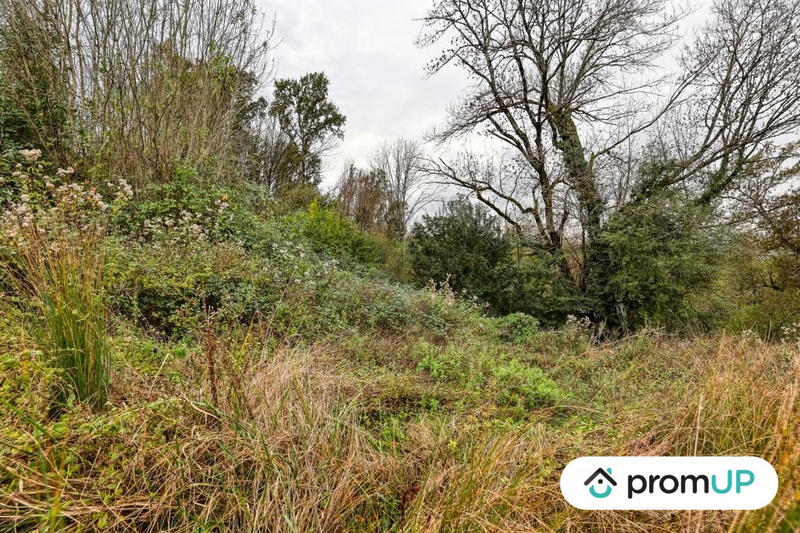 Terrain - 17 000 m²