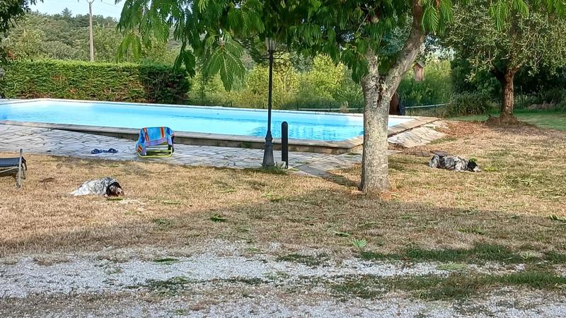 Maison en pierre - 120 m² - 5 pièces