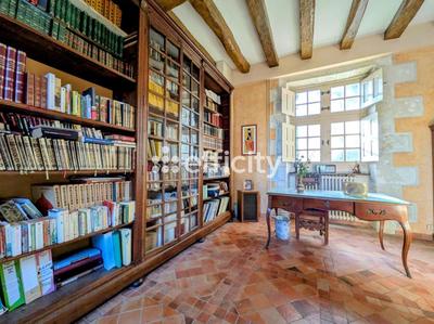 Château - 321 m² - 9 pièces