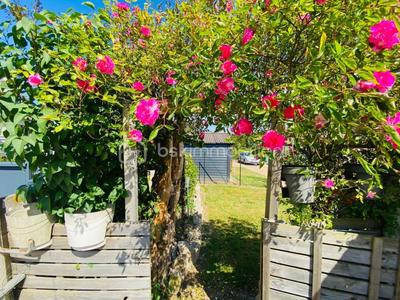 Maison ancienne - 135 m² - 7 pièces