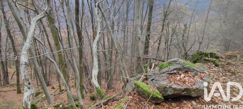 Terrain - 61 700 m²