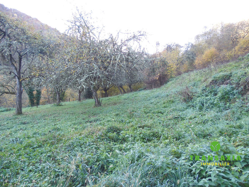 Maison ancienne - 112 m² - 4 pièces