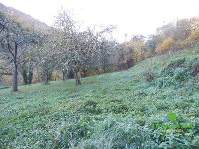 Maison ancienne - 112 m² - 4 pièces