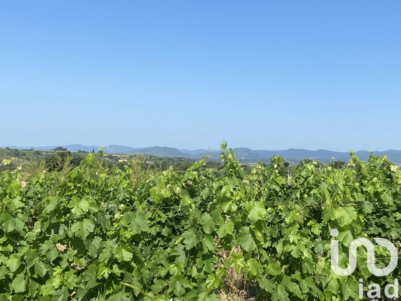 Terrain agricole - 216 211 m²