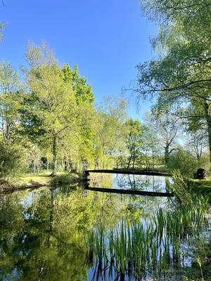 Terrain de loisirs - 5 871 m²