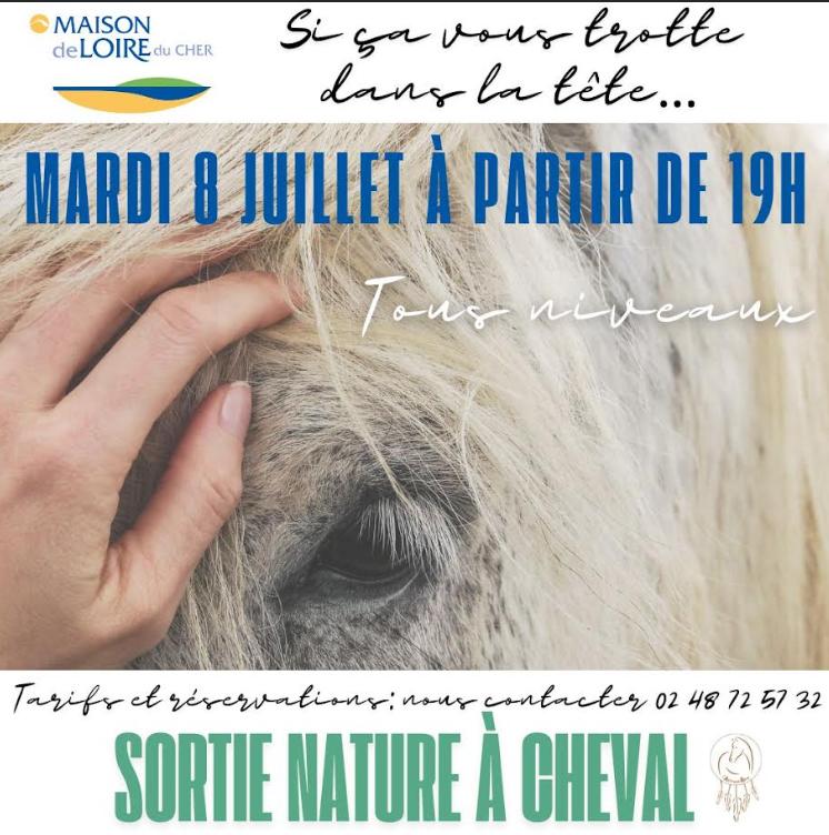 Sortie équestre "Si ça vous trotte dans la tête..."