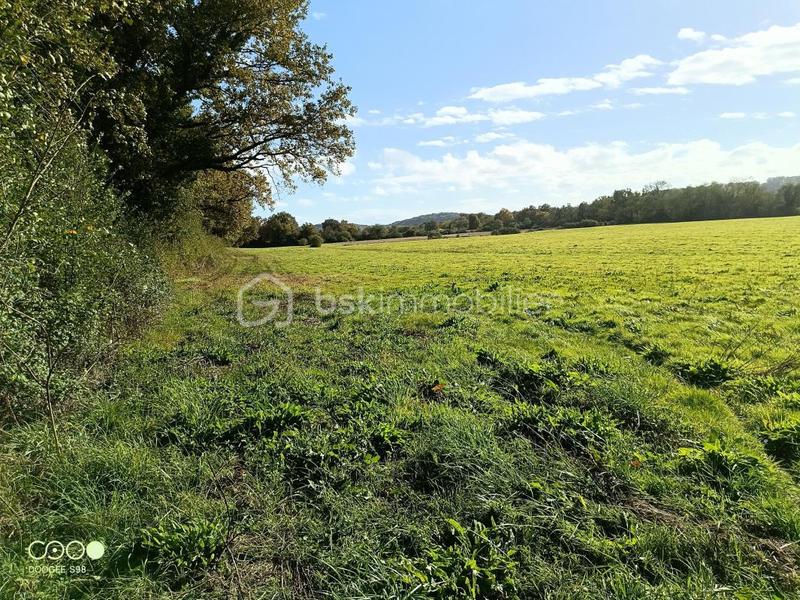 Terrain agricole - 150 960 m²