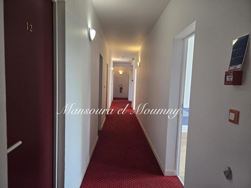 Hôtel particulier - 360 m² - 20 pièces