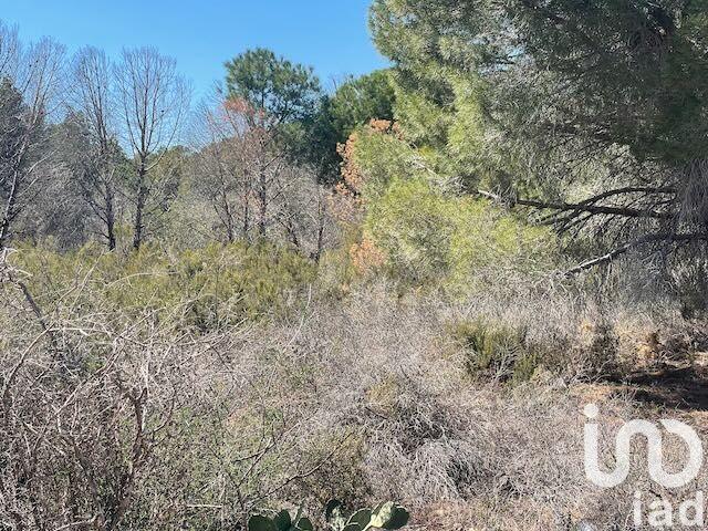 Terrain - 13 930 m²